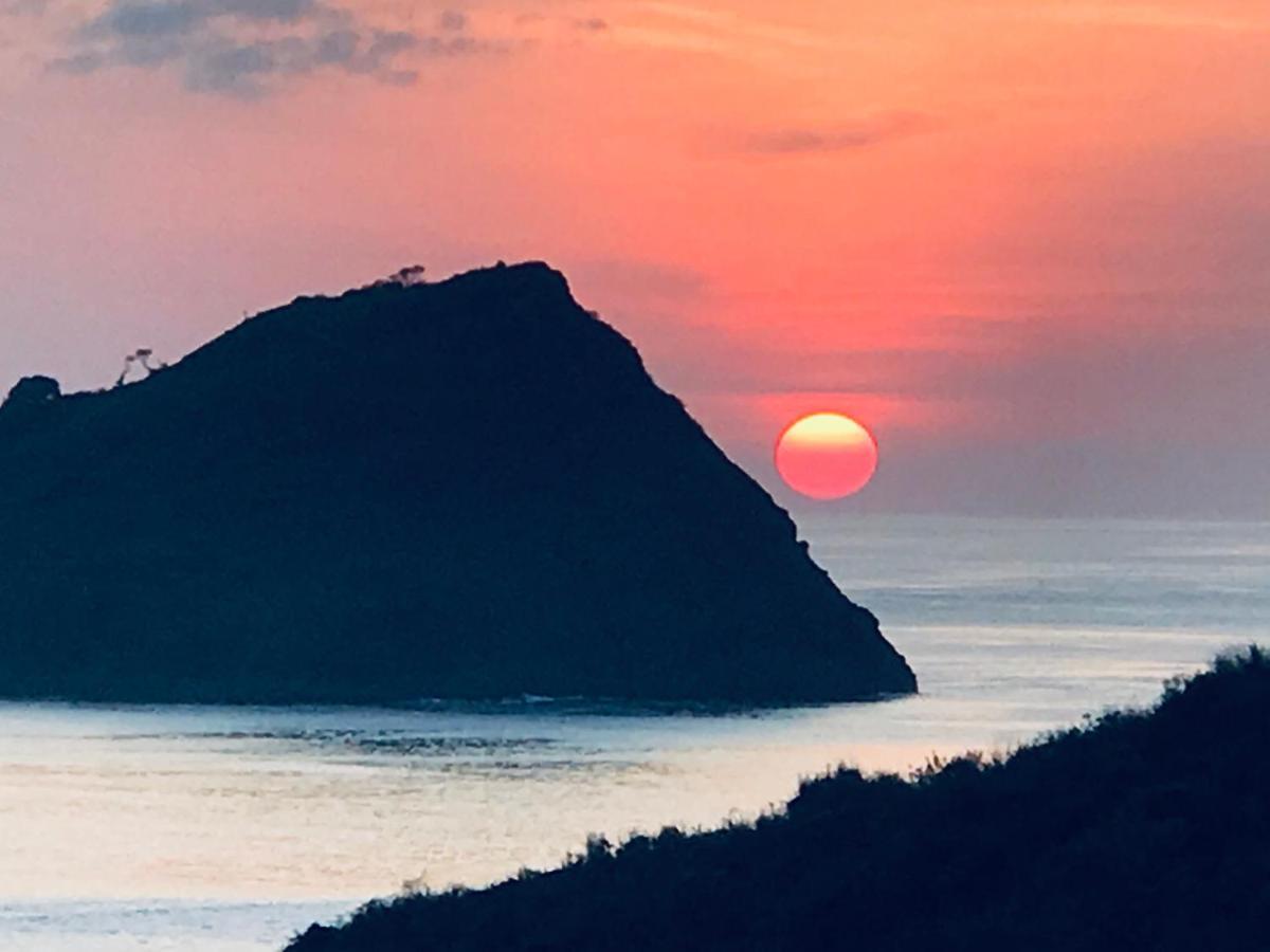 Blue Monkey Retreat Areguling Lombok Hotel Екстериор снимка